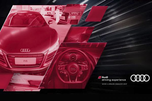 Driving Audi Experience 2011